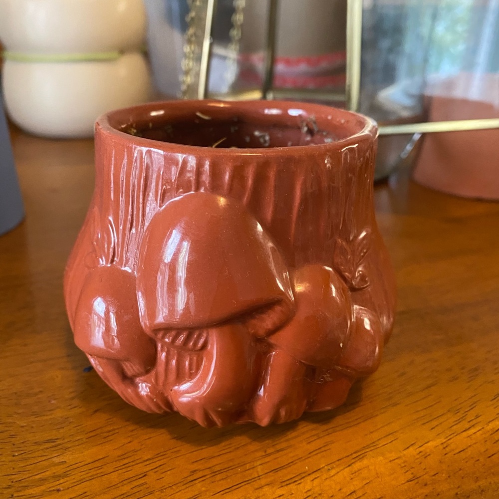 Small mushroom pot